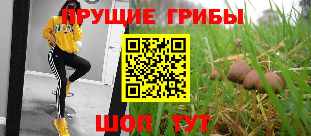Галлюциногенные грибы прущие грибы  Вход с VPN  Кузнецк  где купить   Галлюциногенные грибы Magic Shrooms 
